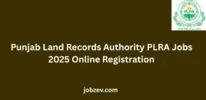 Punjab Land Records Authority PLRA Jobs 2025 Online Registration